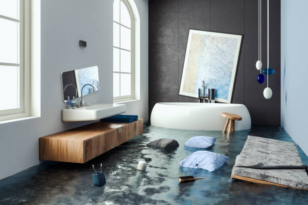 Best Mold removal after water damage  in Bogata, TX