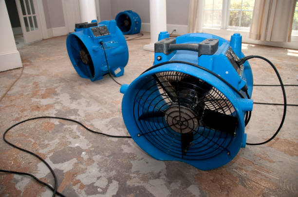 Best 24/7 water damage repair  in Bogata, TX