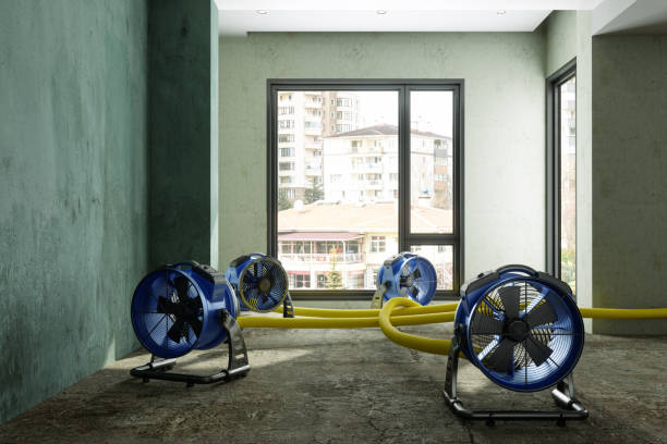 Best Ceiling water damage repair  in Bogata, TX